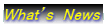�v�������f���@�m������